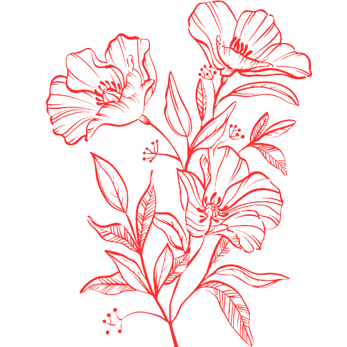 quintex blooms